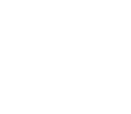 Woods Lights image