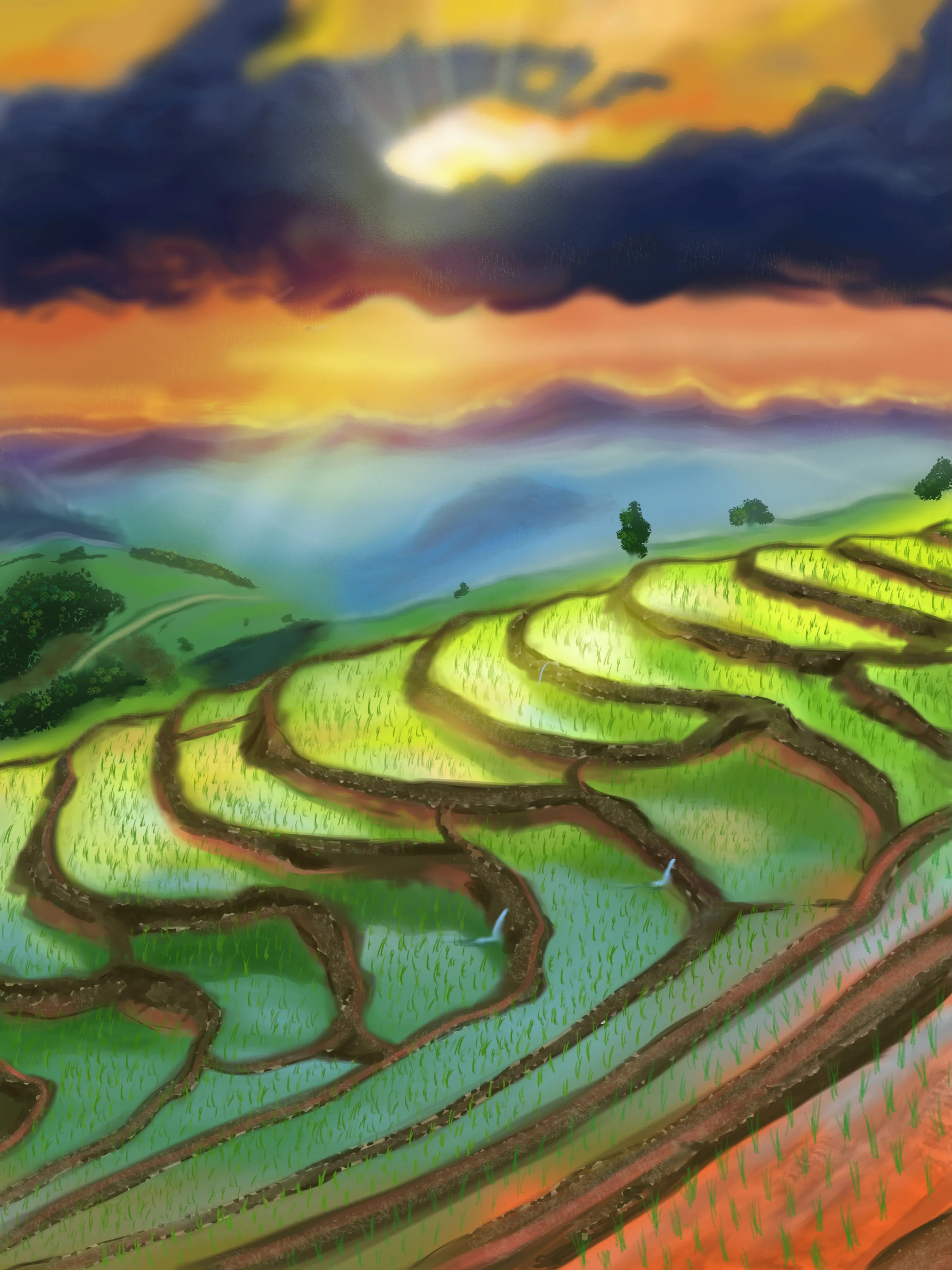 Rice fields landscape (digital)